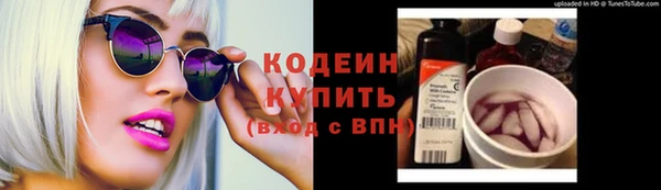 дурь Арсеньев