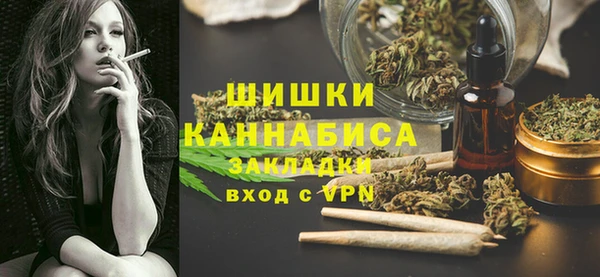дурь Арсеньев