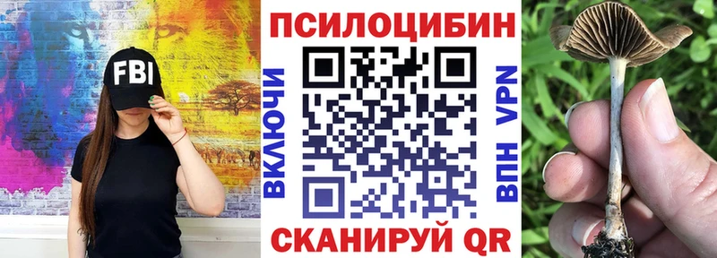Галлюциногенные грибы Cubensis  как найти закладки  Дыгулыбгей 